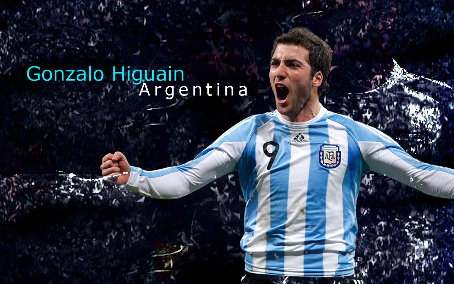 美洲杯豪门争夺：明星支援，激情无限！，美洲杯 球迷